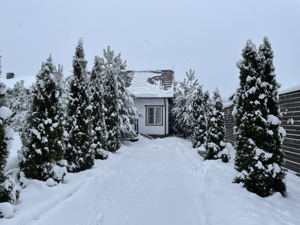Куршале, Московская область: фото 2