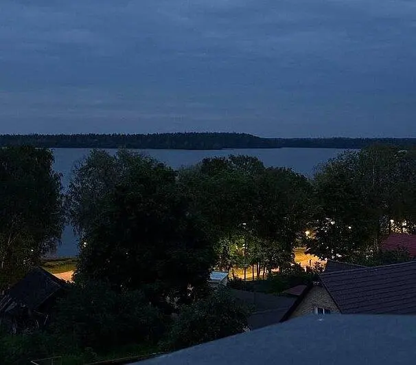 Барин Брусникин, Новгородская область: фото 5