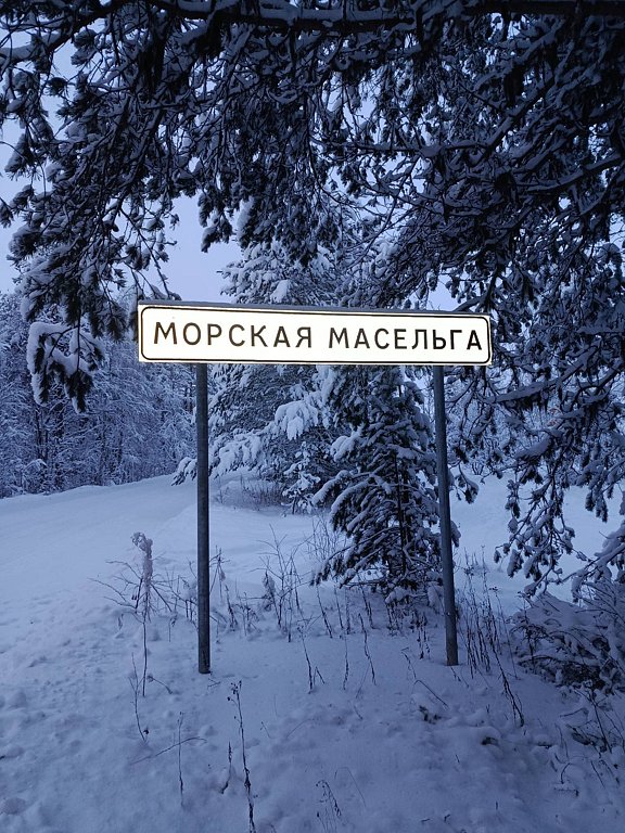 Фото из отзыва от 03.01.2026