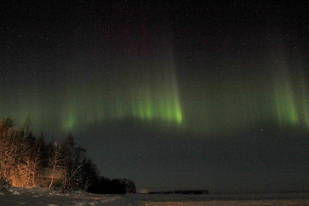 Фото из отзыва от 03.01.2026