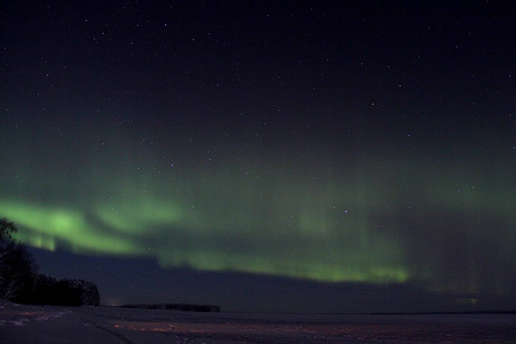 Фото из отзыва от 03.01.2026