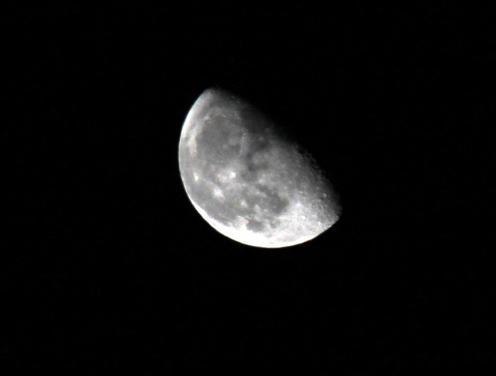 Фото из отзыва от 03.01.2026