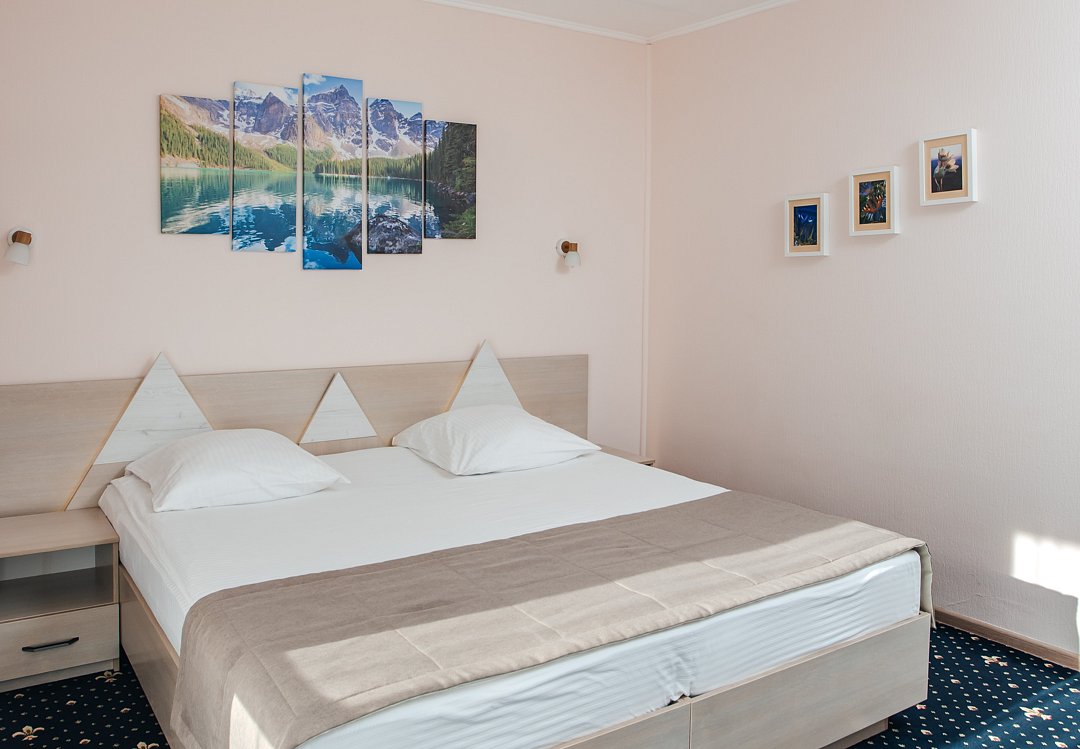 Евростандарт 2-местный (корпус Ступени) вид на реку