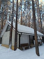 Дом «Amour House» Номера домов: №5, База отдыха ДухЛес, Заречный