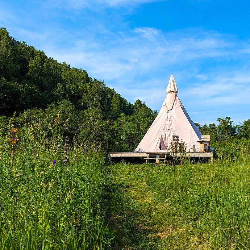 СтреКоза, Новосибирская область: фото 5