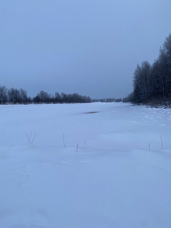 Фото из отзыва от 07.02.2026