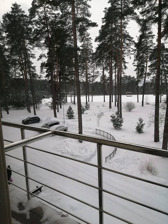 Фото из отзыва от 07.02.2026