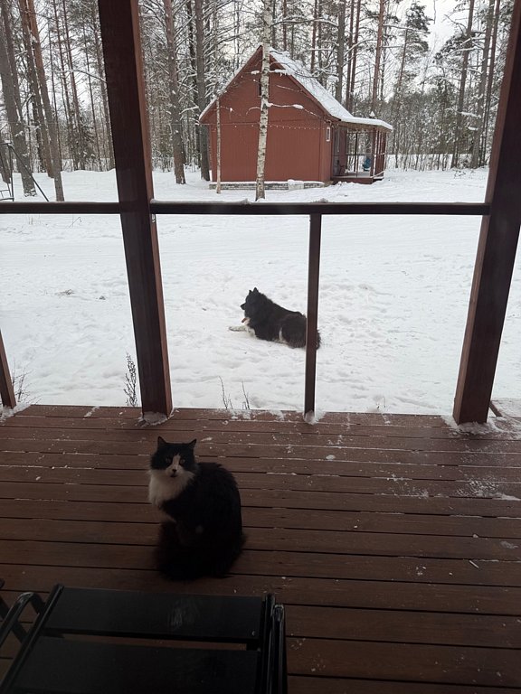 Фото из отзыва от 07.02.2026