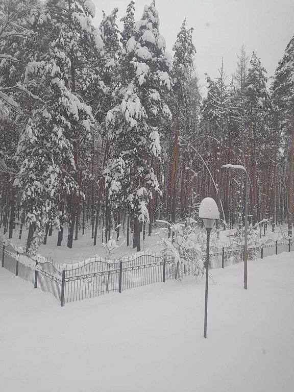 Фото из отзыва от 07.02.2026