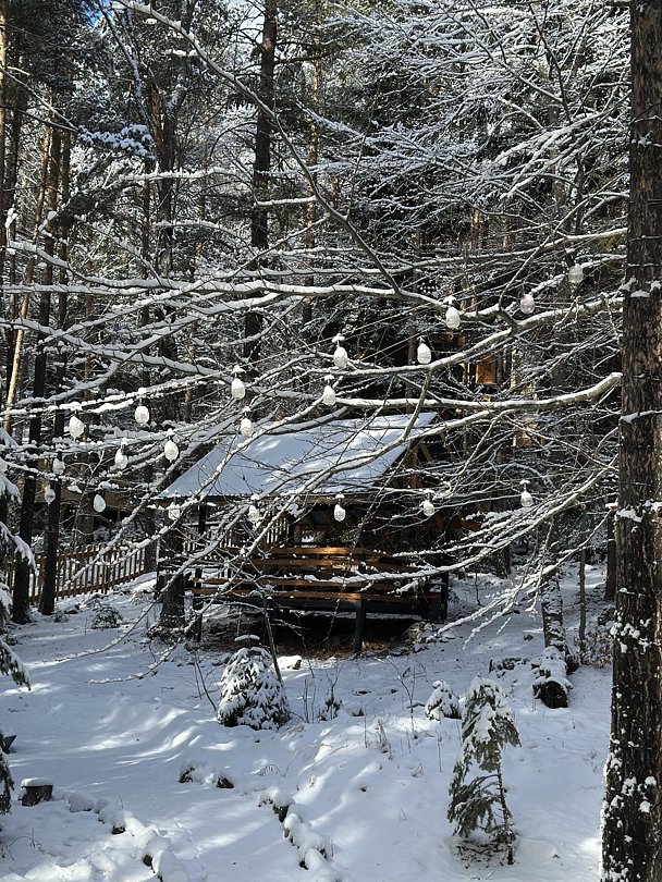 ДухЛеса, Республика Карачаево-Черкесия: фото 4