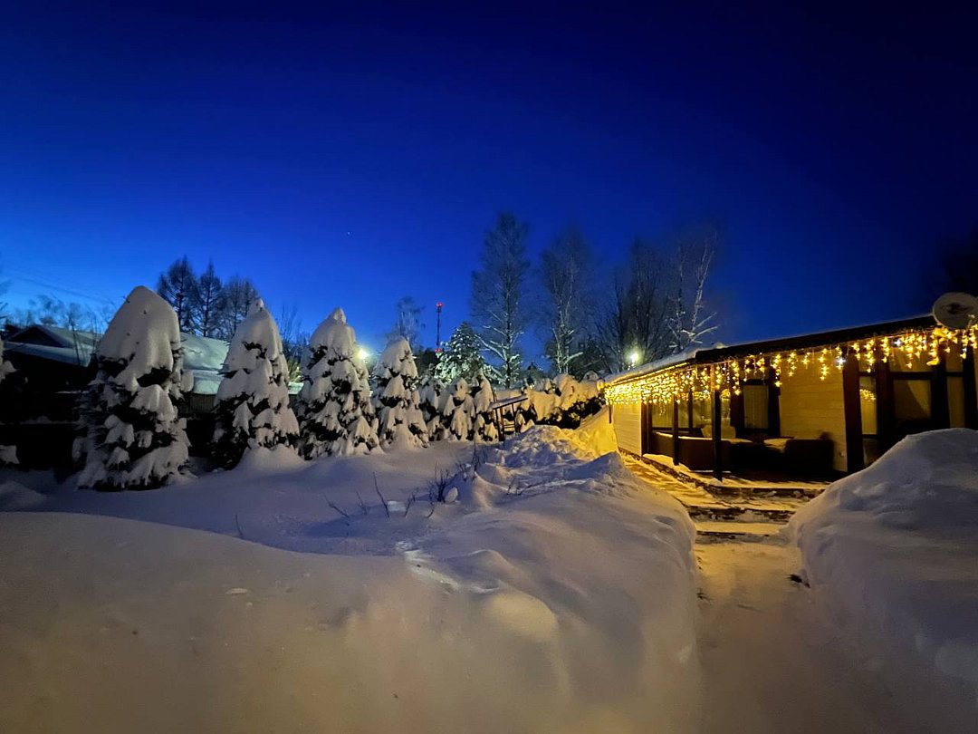 Метелица, Московская область: фото 3