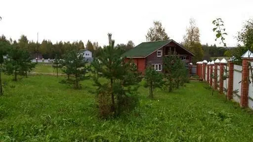 Три Озера, Новгородская область: фото 5