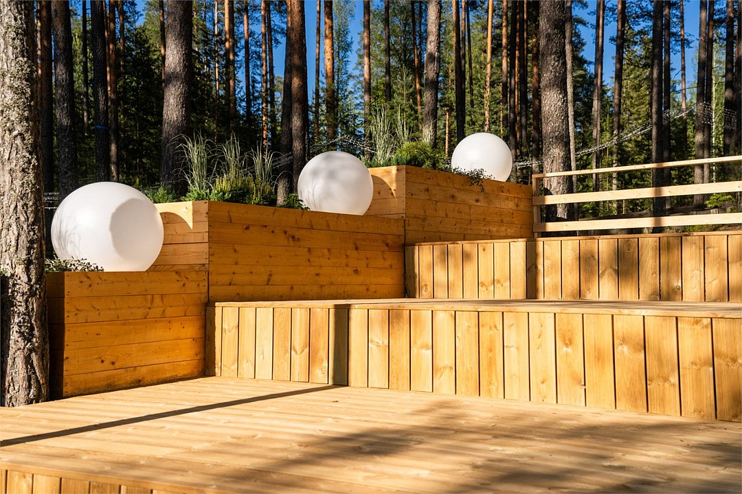 Шишки на Лампушке, Ленинградская область: фото 3