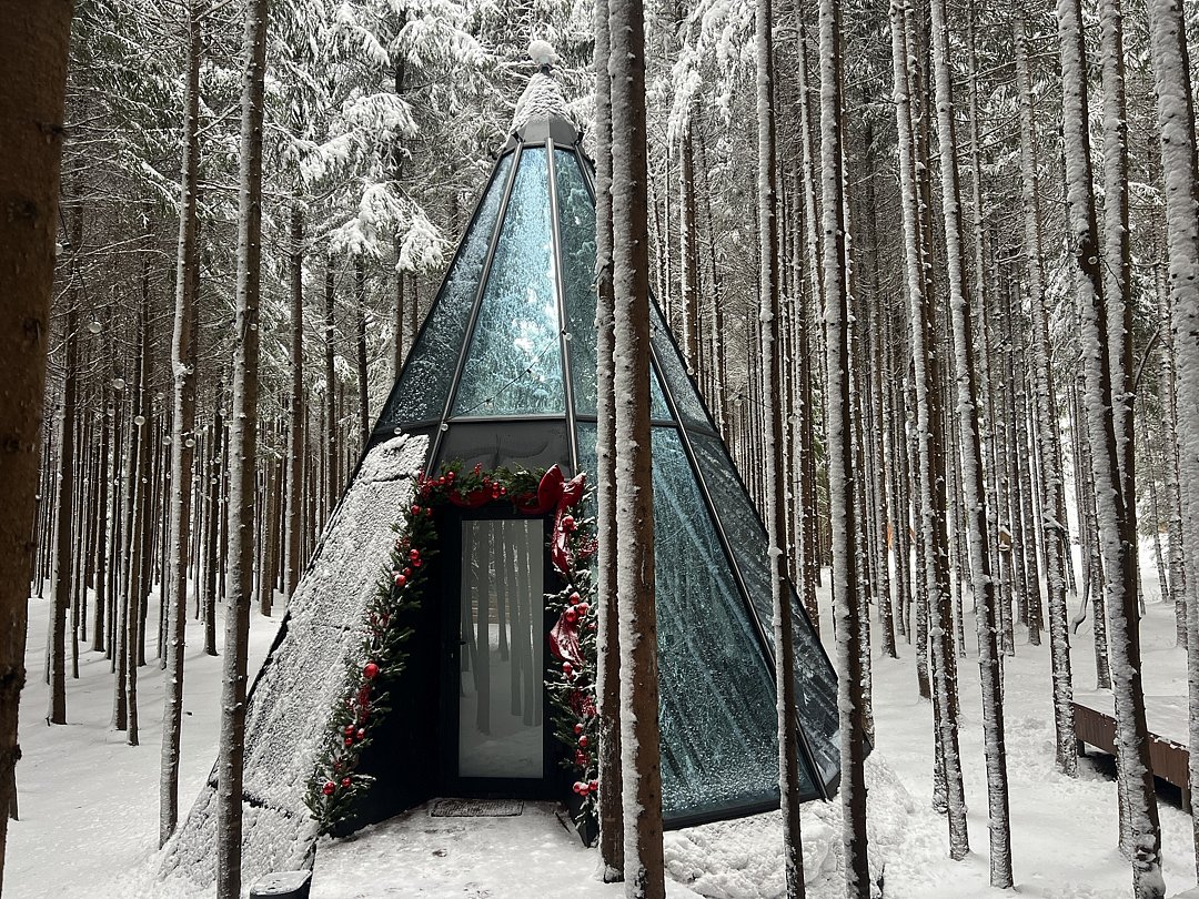 Ёлкино.life, Московская область: фото 4