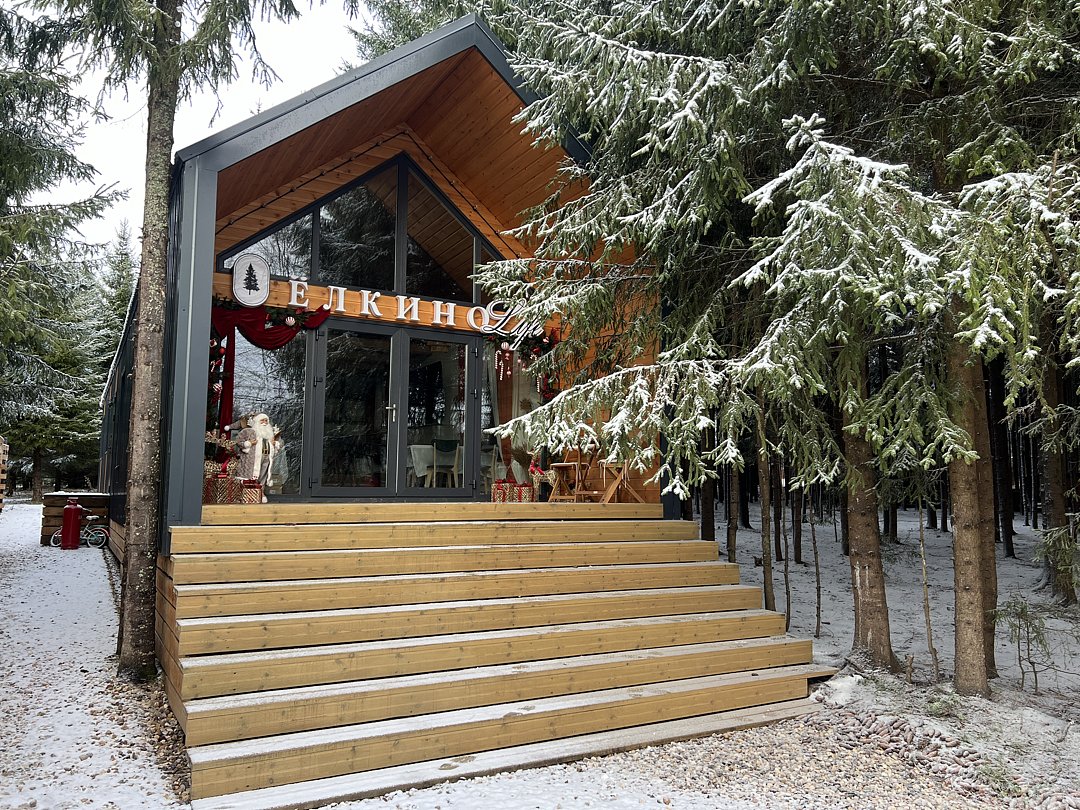 Дома в аренду Ёлкино.life (бывший Глэмпинг Ёлкино.life), Московская область, деревня Рыбушки Истринский район