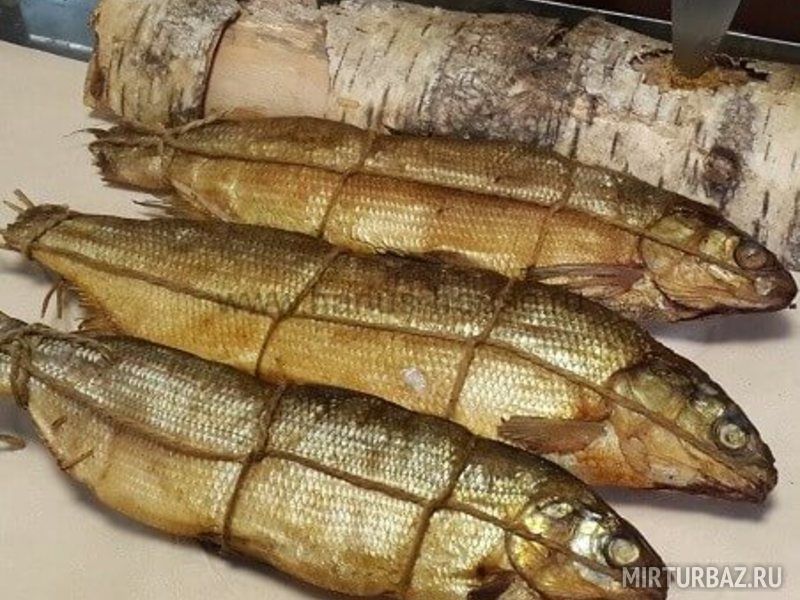 Как выглядит рыба пелядь копченая балык