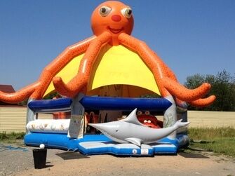В окресностях базы