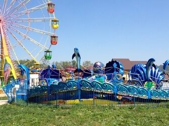 В окресностях базы
