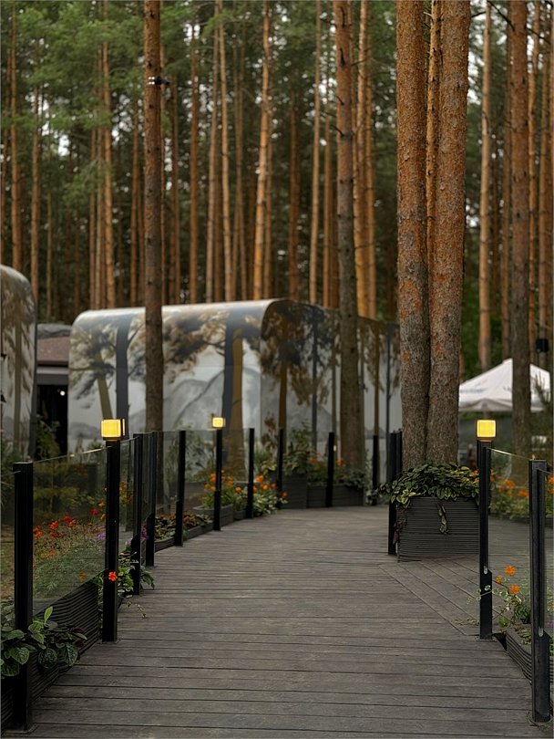 Narnia Planet, Ярославская область: фото 4