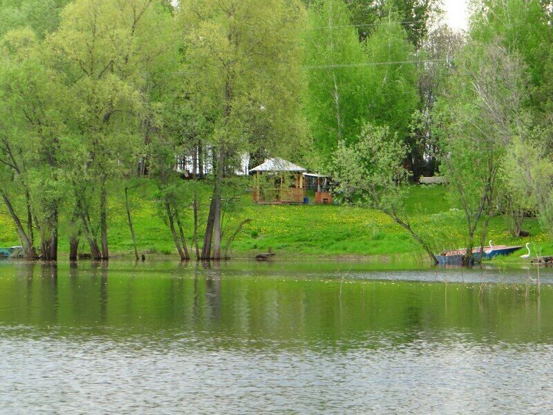 Рыбацкий хуторок алексеевка белгородской фото