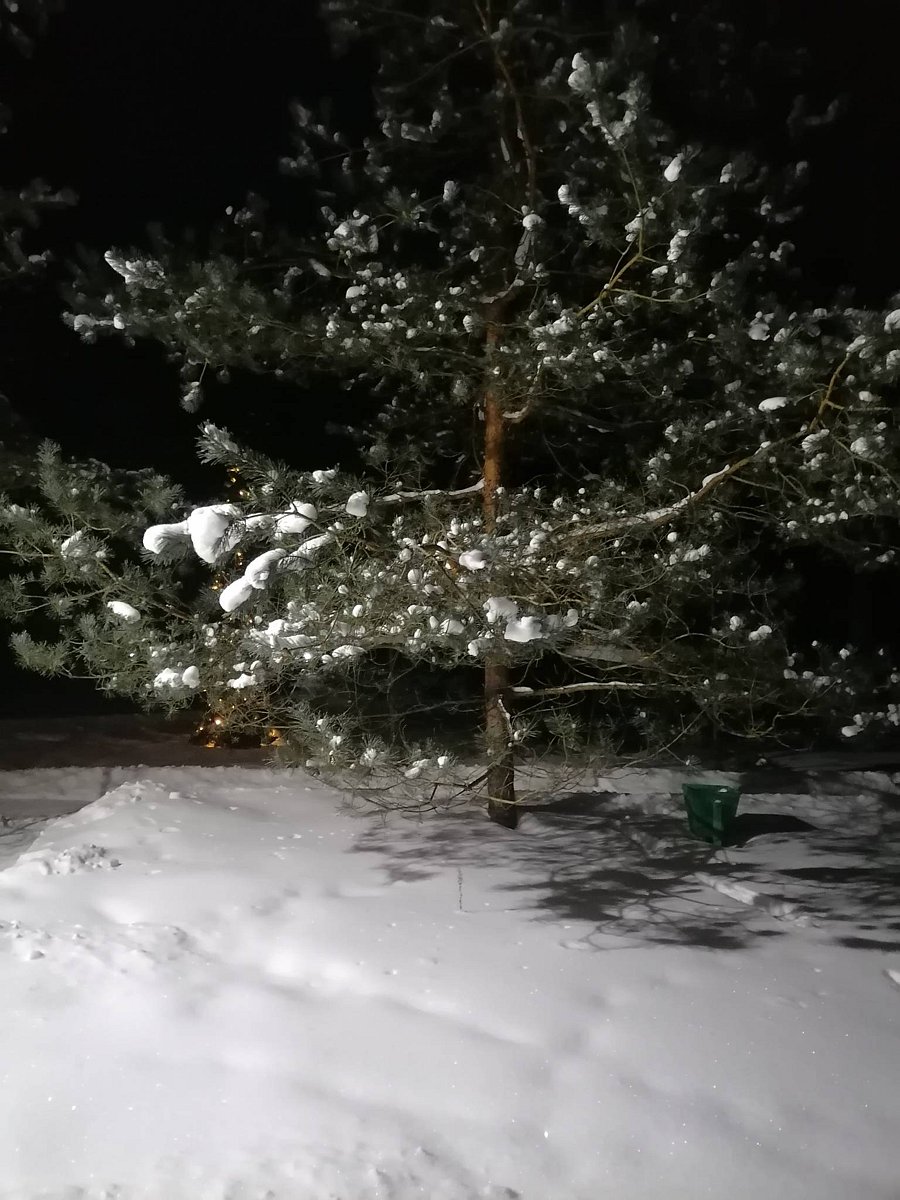 Фото 1 из отзыва о центре активного отдыха Лукоморье