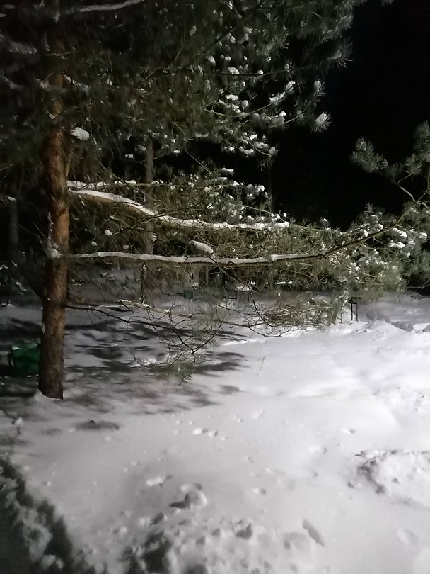 Фото 5 из отзыва о центре активного отдыха Лукоморье