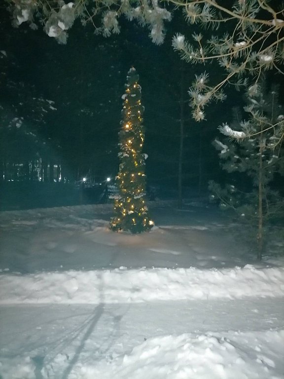 Фото из отзыва от 19.02.2026