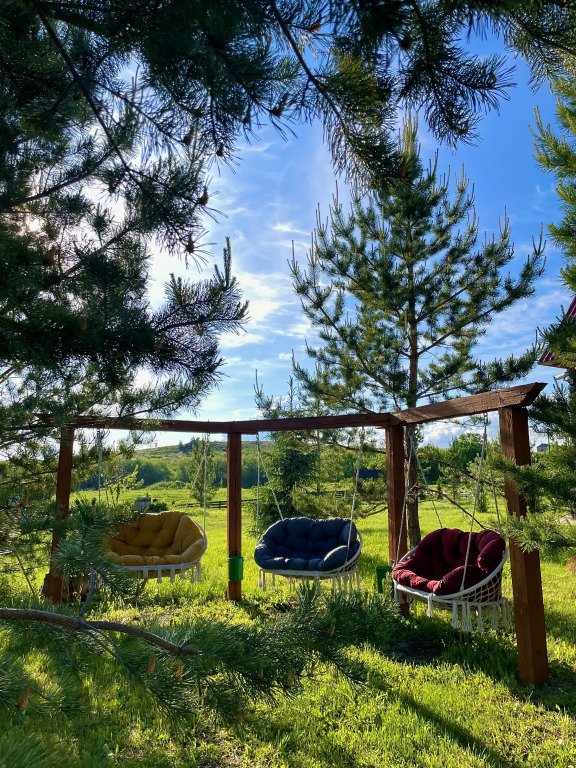 У Родника, Алтайский край: фото 4