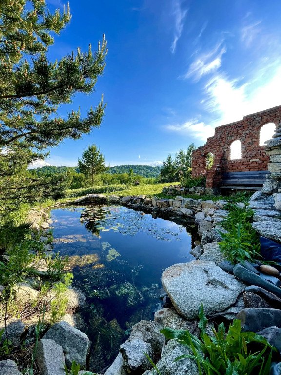 Гостевой дом У Родника, Новохарьковка, Алтайский край