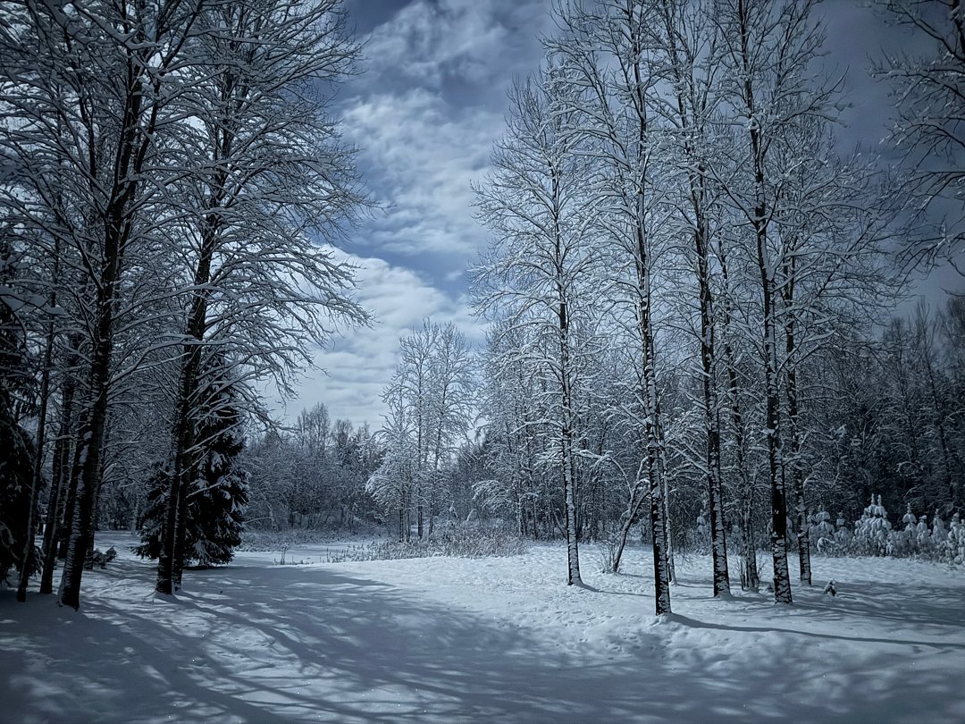 «Терем Русская былина», Новгородская область: фото 4