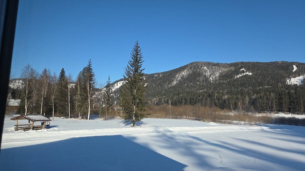 Фото из отзыва от 21.02.2026