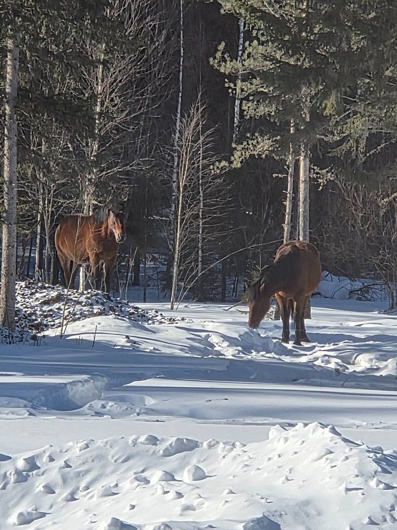 Фото из отзыва от 21.02.2026
