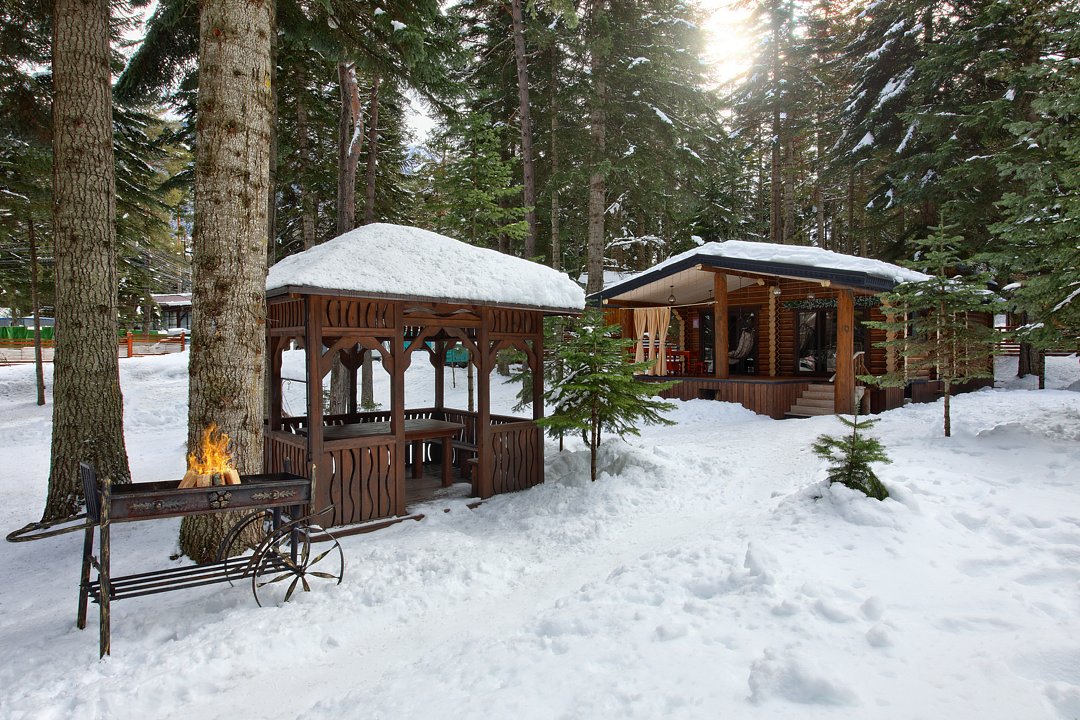 Пихта-парк, Республика Карачаево-Черкесия: фото 2