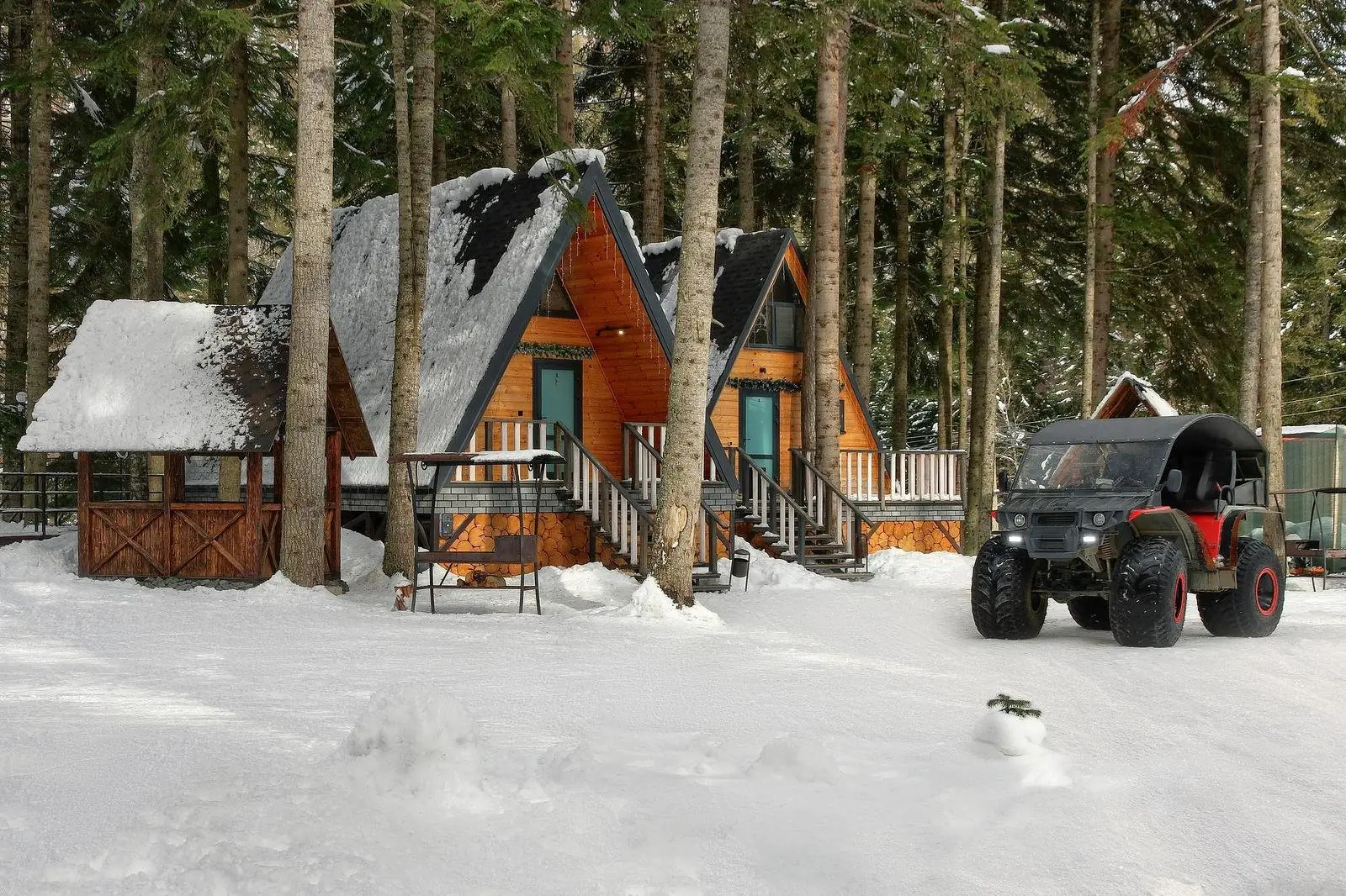 Пихта-парк, Республика Карачаево-Черкесия: фото 5