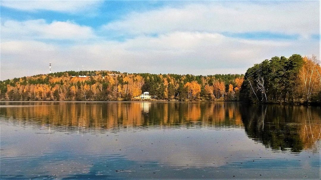Бабочка, Челябинская область: фото 3