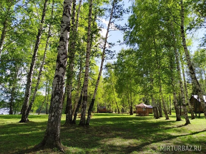 База отдыха лукоморье орел фото