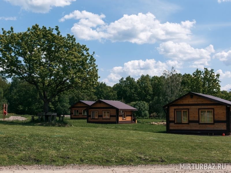 Пензенская область база отдыха кленовая роща фото