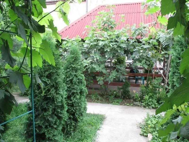 Гостевой дом Летний дом, Бахчисарайский район, Крым