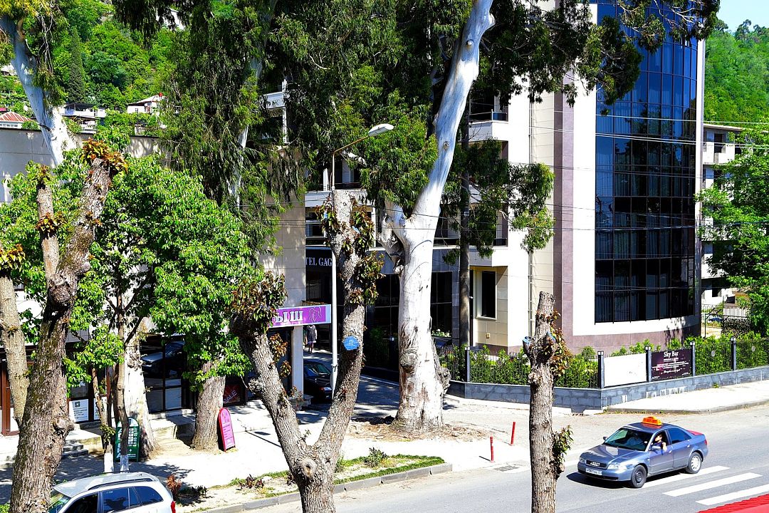 Гагра-Лазурная, Гагрский район: фото 3