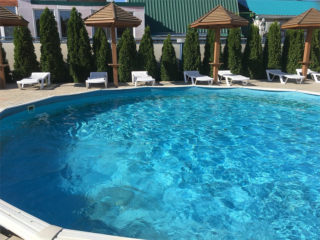 Дельфин, Краснодарский край: фото 3