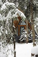 Домик A-frame лесной, Гостевой дом Артхаус, Домбай