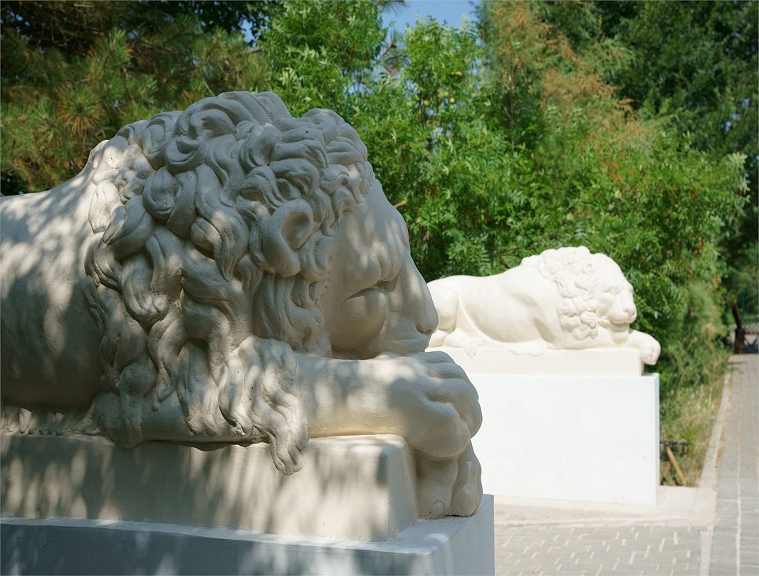 Солнечная Долина, Крым: фото 4