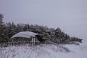 Геокупол Люкс на первой линии (строго без животных), Глэмпинг Майтри кэмп на Финском заливе, Лужки