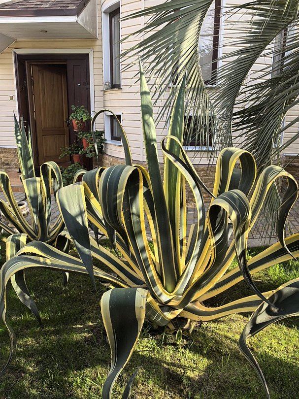 Башня, Краснодарский край: фото 4