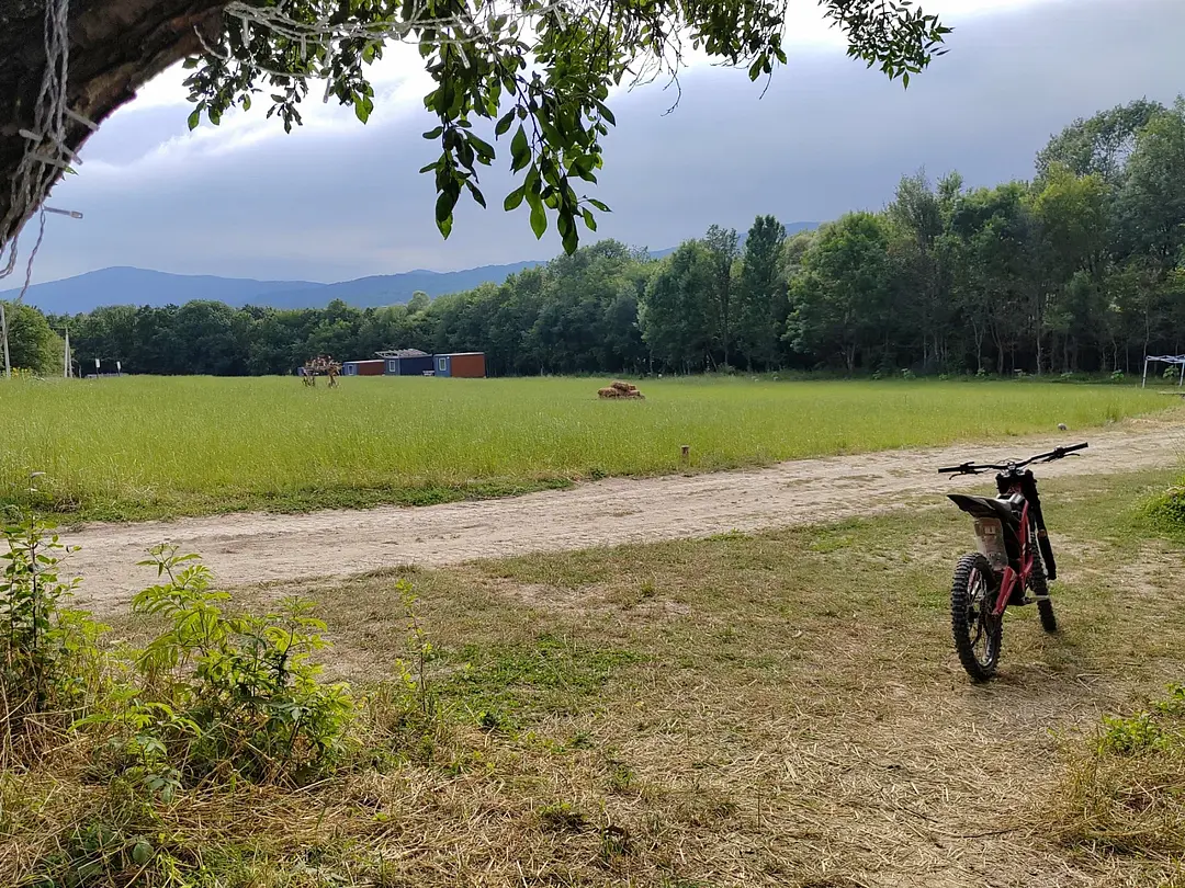 Уркуста-парк, Крым: фото 2