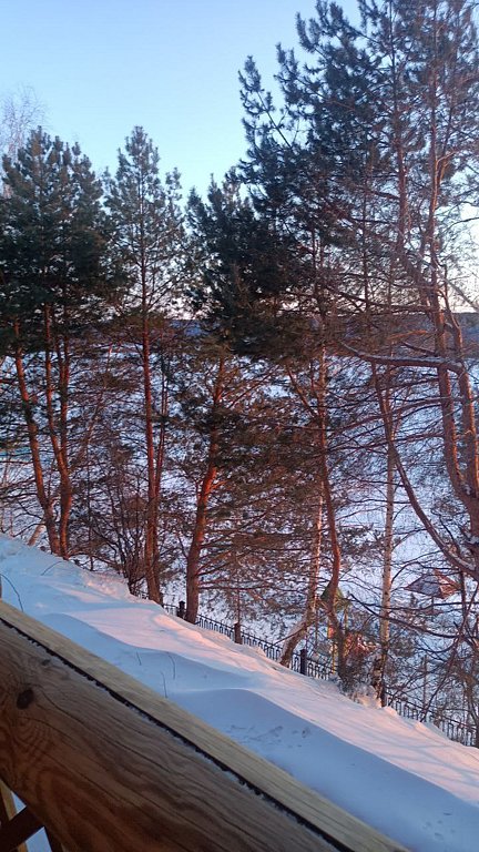 Фото из отзыва от 08.03.2026