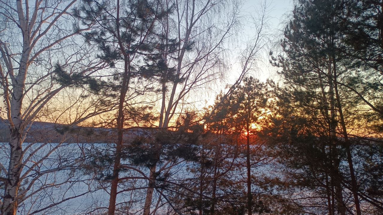 Фото 3 из отзыва о базе отдыха Звениговская