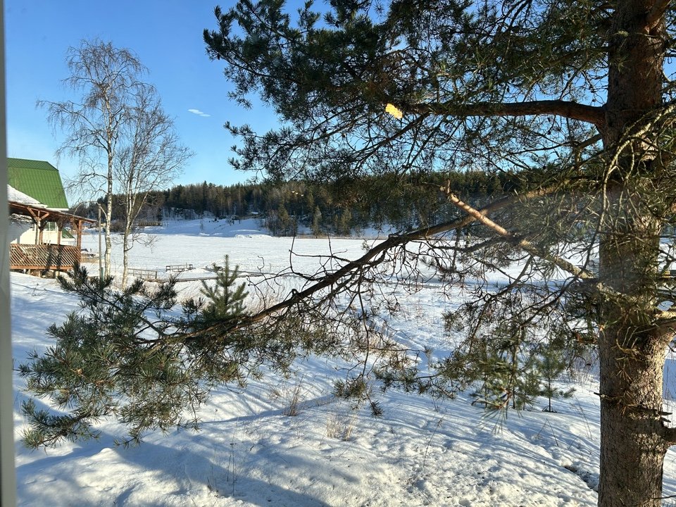 Фото из отзыва от 02.03.2026