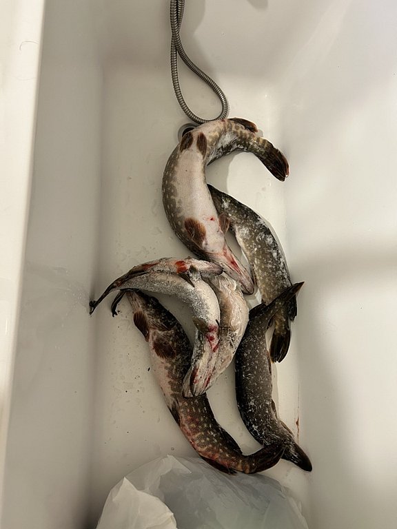 Фото из отзыва от 02.03.2026