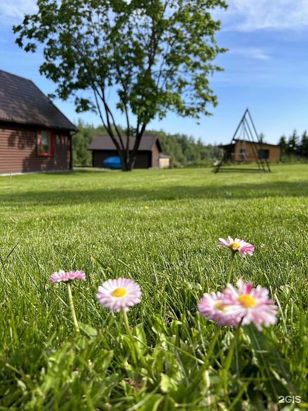 Частный дом на берегу реки, Республика Карелия: фото 2